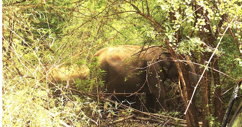 4946BDD6-7EE1-4B8A-9A24-51663269CBFA