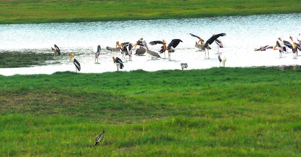 A2013144-77E0-4A25-A3B6-A808BDB1A676