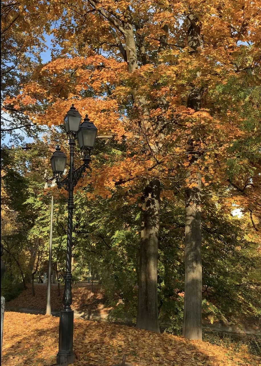 Autumn in Budapest : Photo Journal